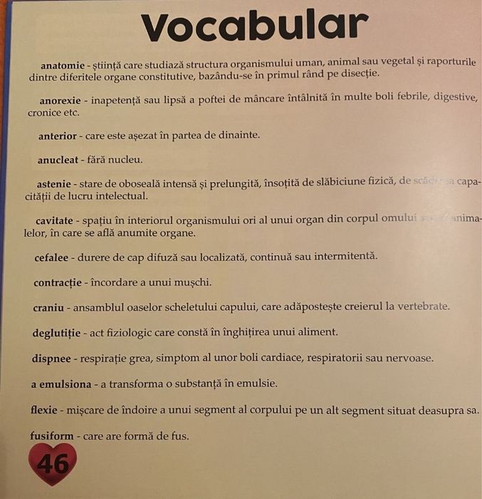 Întrebări si răspunsuri / Prima mea enciclopedie (corpul uman) Noi