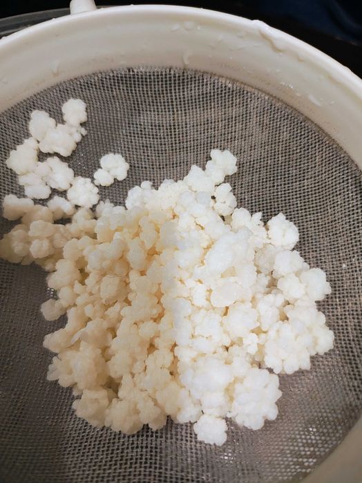 Kefir de apa de lapte Kombucha