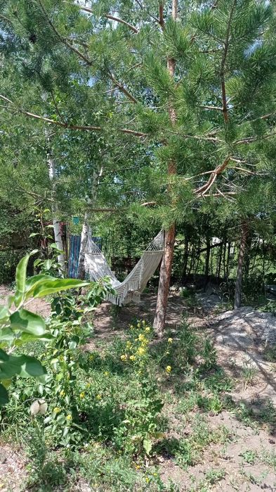 Продам домик на Бухтарме.