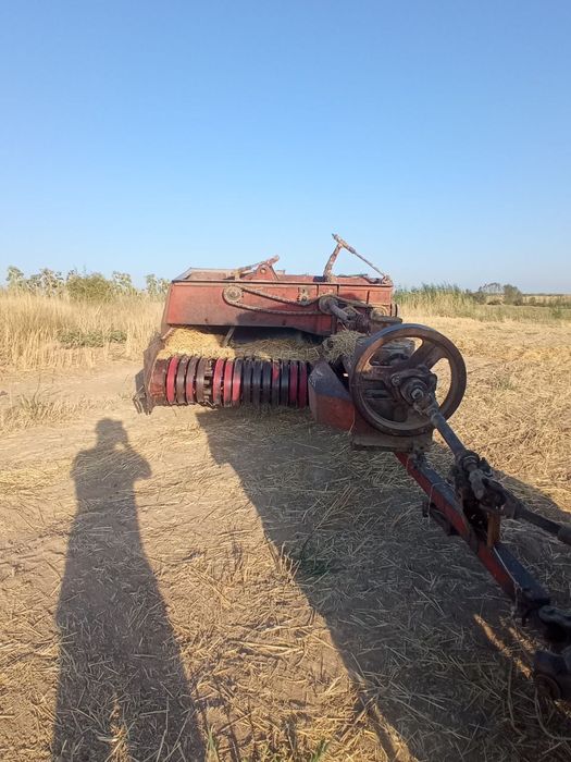 Prespadborchik kirgizistan