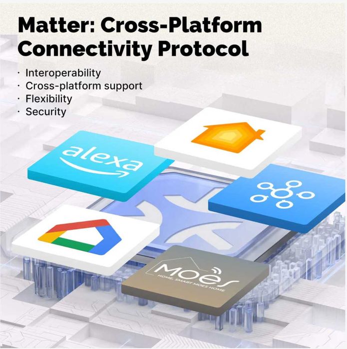Smart Switch Matter over WiFi ,Moes,Sonoff