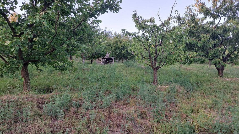 Casa de locuit Corunca