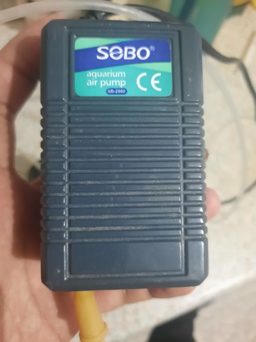 Аквариум сатылады 7000 теңге