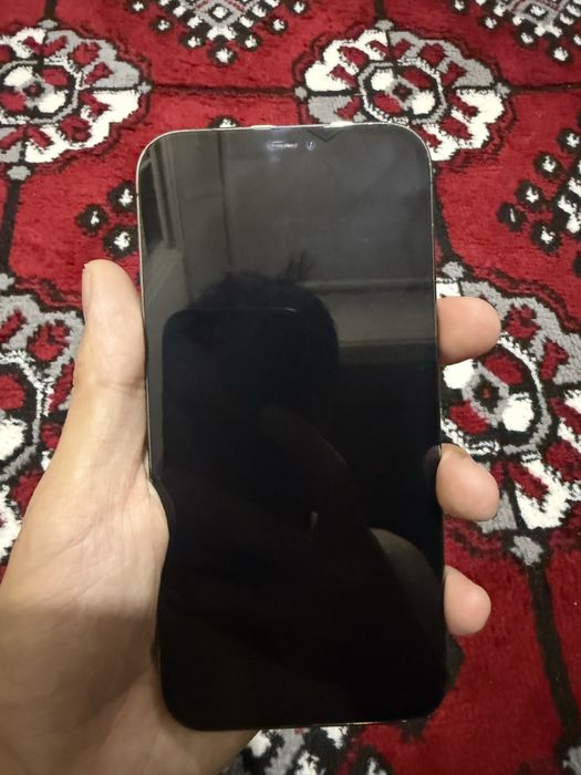 Iphone 12 pro max