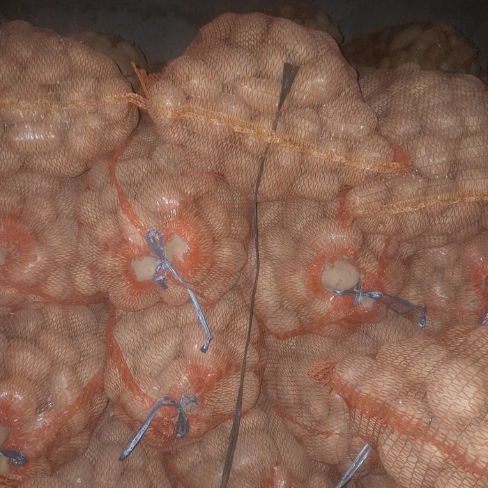 Vând cartofi  de consum și sămânță.