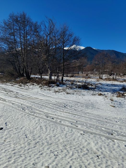 Инвестиционен имот