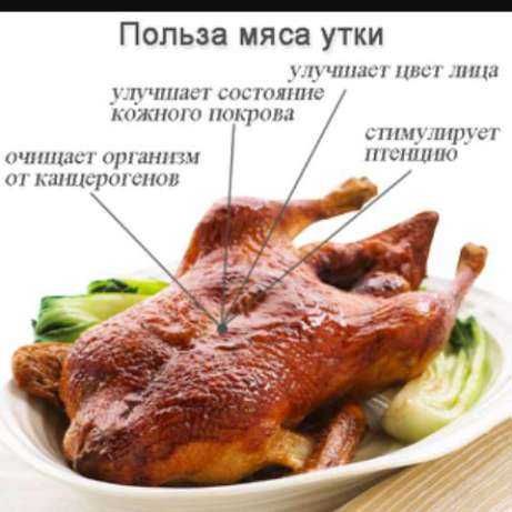 индоутята продам