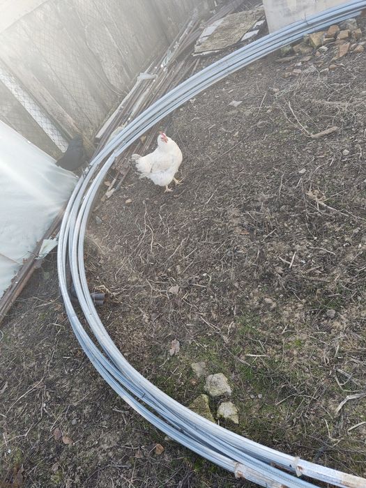 Vand schimb Arce zincate pentru solar