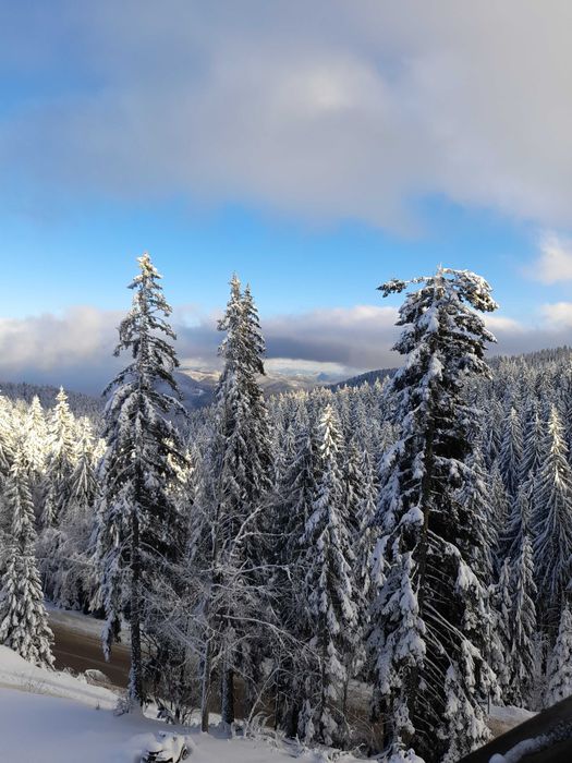 Продава се Едностаен апартамент в к.к. Пампорово - 35 кв.м за 943 €/кв.м - Снимка #10