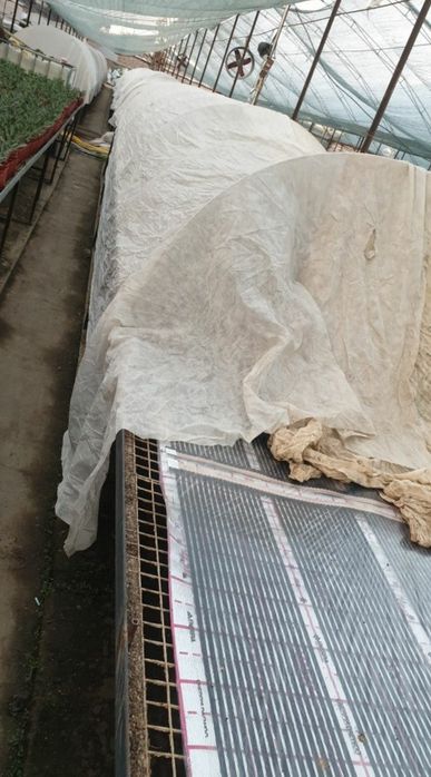 Elektroniy to‘pliy pol. 42.000 ming so‘mdan