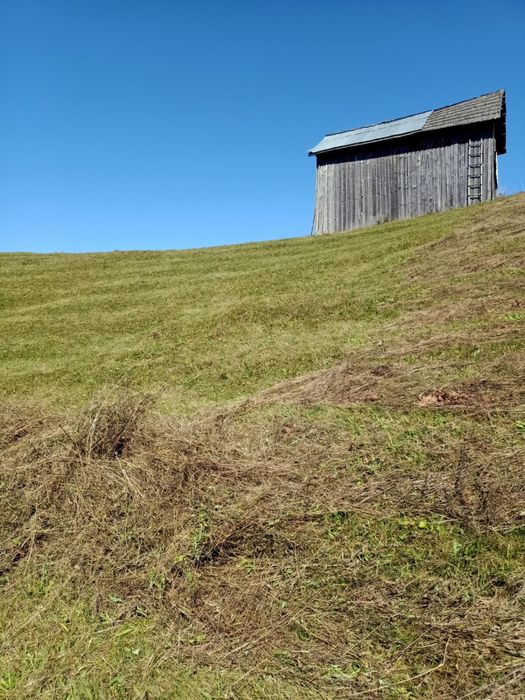 Fan de vanzare, se afla in Argel, Moldovita