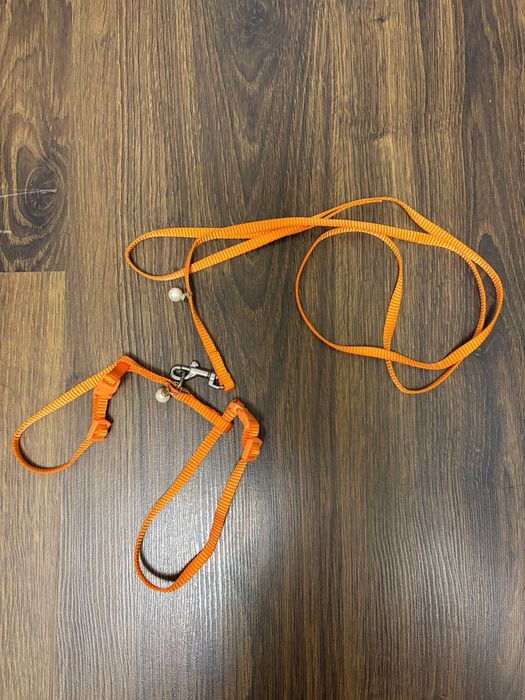 Ошейник для кошек