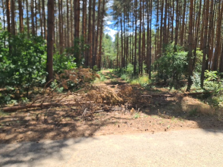 Продава се Парцел в Казанлък - 6200 кв.м за 10 €/кв.м - Снимка #6