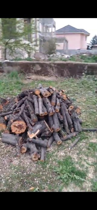 Продам плодовые дрова