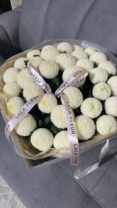 белый помпон хризантема