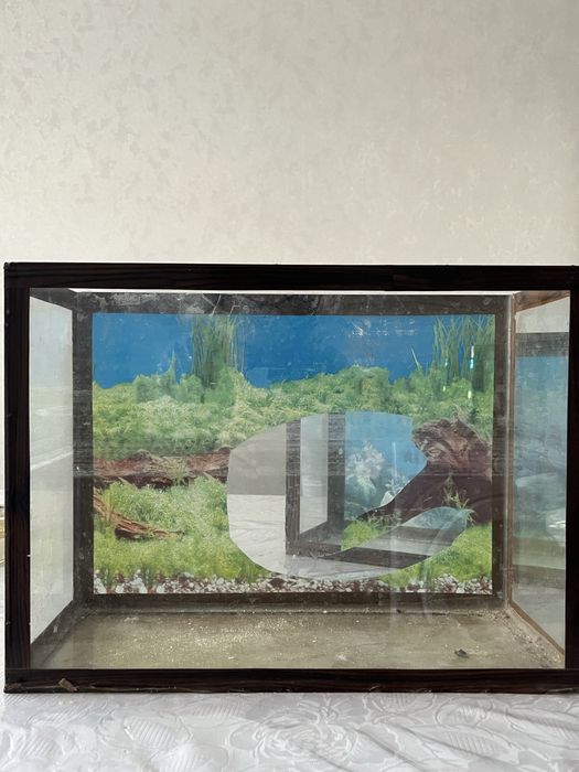 2 стеклянных аквариума