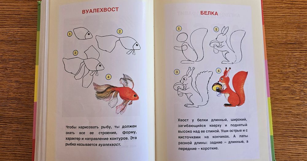 Справочник школьника с 1 по 4 класс