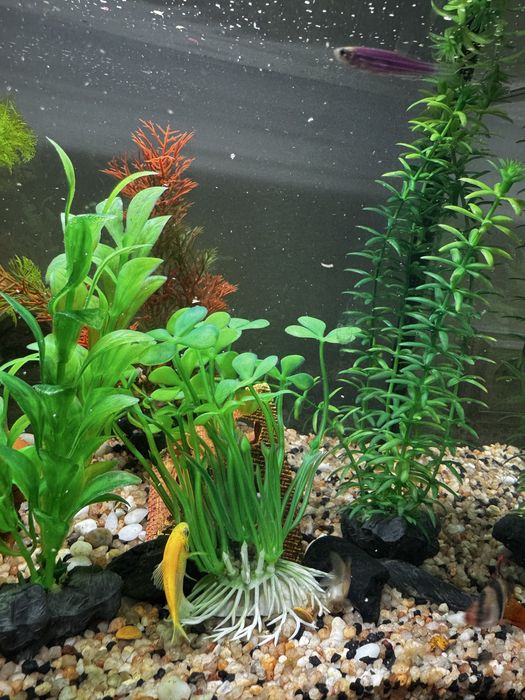 Аквариум tetra 30 литров