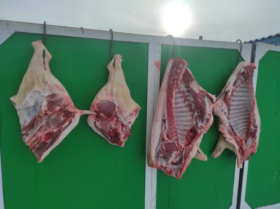 Продам мясо (свинина)