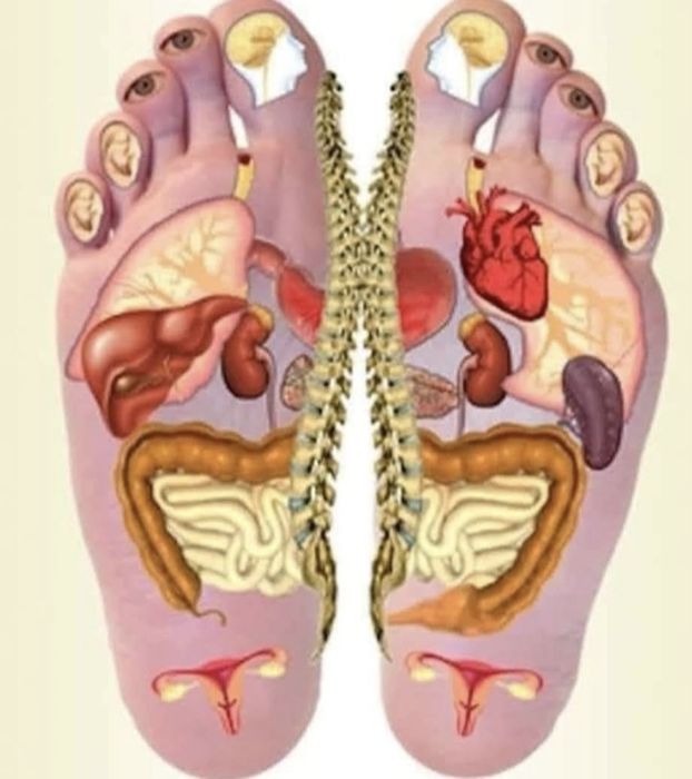 Masaj Terapeutic cu ventuze/ Relaxare