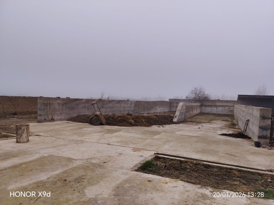 Ferma Yangi yo'lda sotildi Hamroqulda