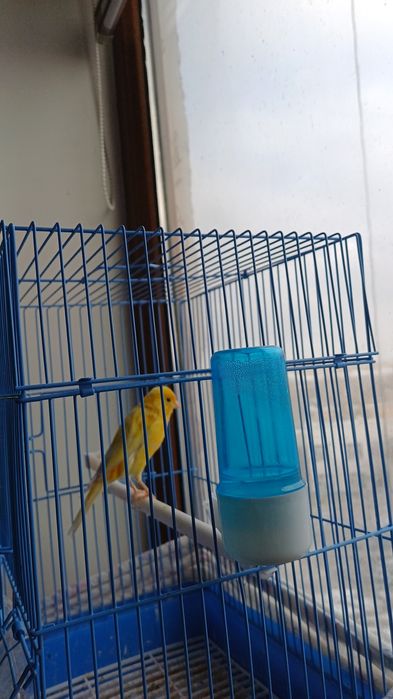 Срочно продаётся