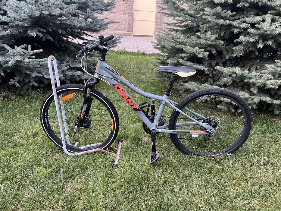 Велосипед Giant XTC 24 ( centurion trek cube author  scott