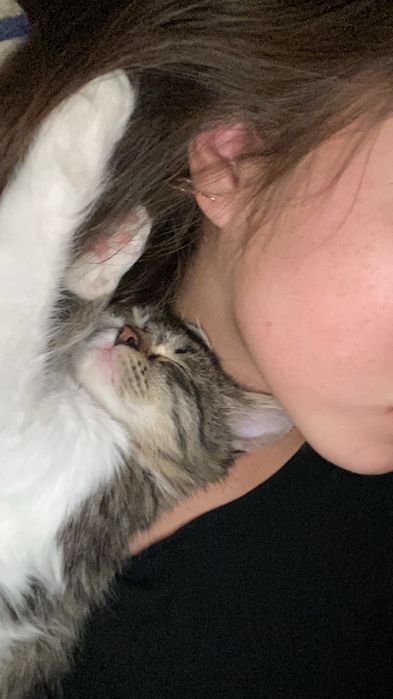 Отдадим в хорошие руки!