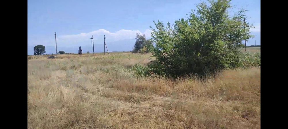 Участок 12 соток