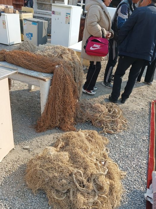 Балик тор бор куп