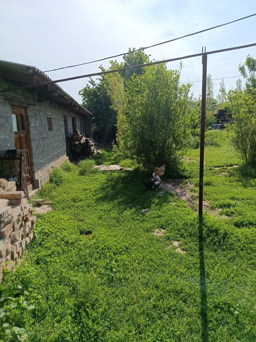 Продается свой дом Куйчирчикский район 7 соток