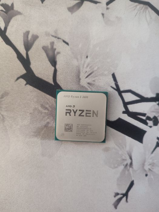 AMD Ryzen 5 3600