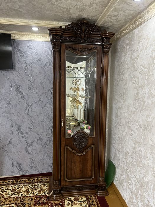 Holati chotki yengide turipti