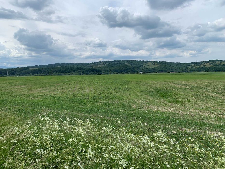 Vând teren agricol extravilan, 2.800 mp – între Râșnov și Zărnești