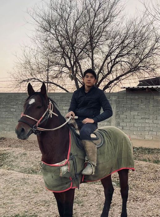 2 ат алды арты сатылады!