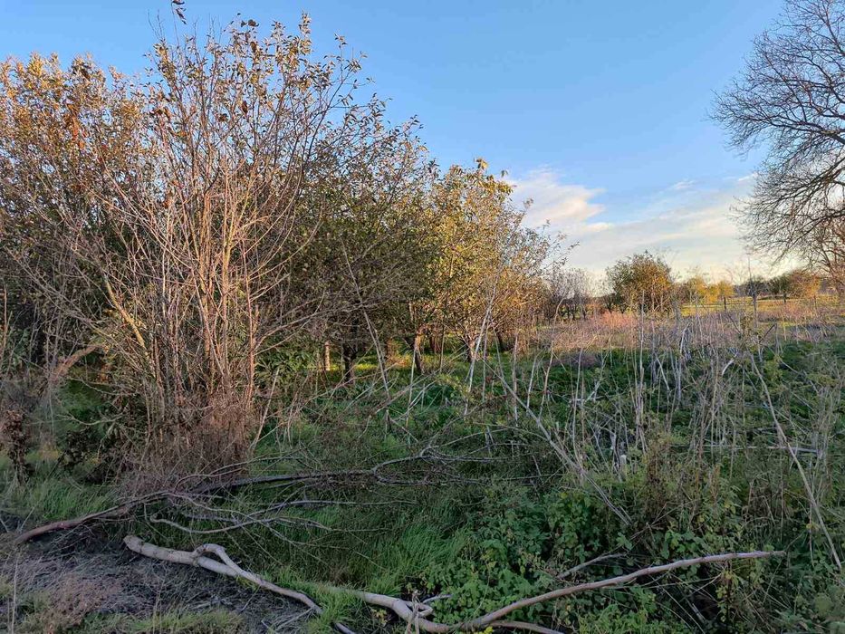 Продава се Промишлена сграда в с. Плачидол, Област Добрич - 1080 кв.м за 213 €/кв.м - Снимка #10