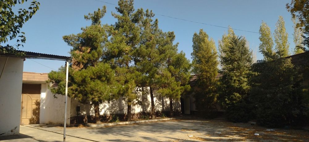 18-соток.Жомбой.Срочно продаётся участок.