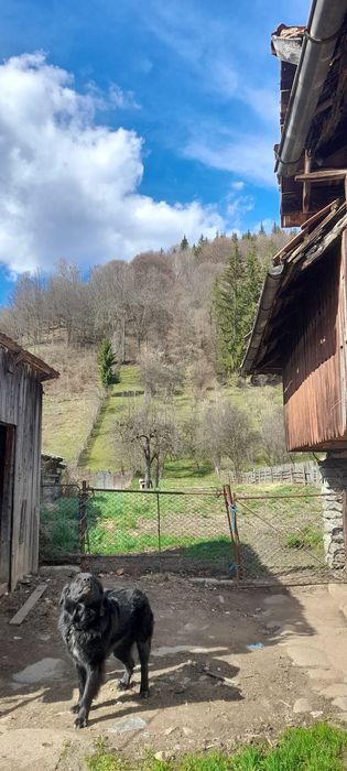 Casă de vânzare!!!