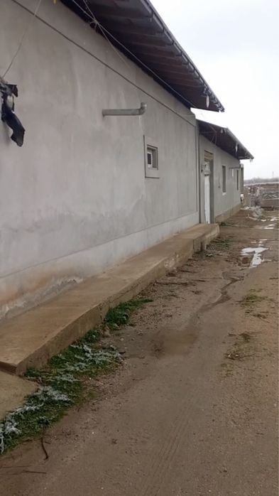 Самарканд тумани Янги Арик маҳалласида 6 сотих каробка холатида