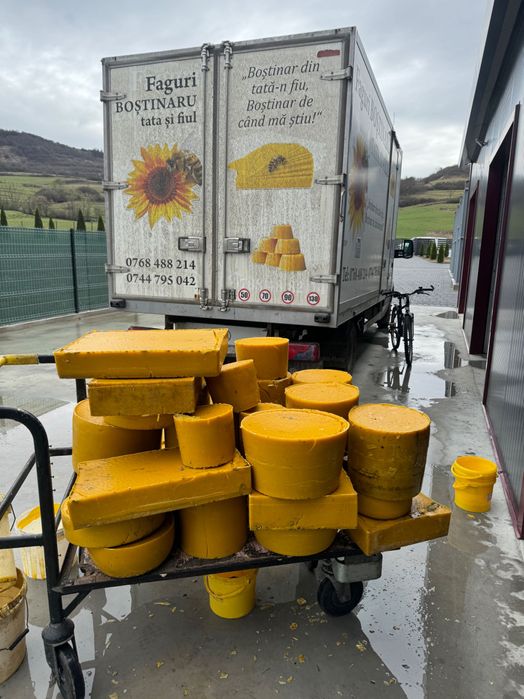 Ceară de albine naturala