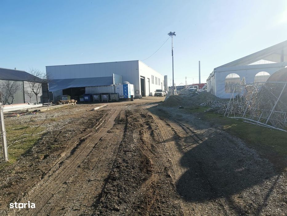 Teren Auchan Bradu