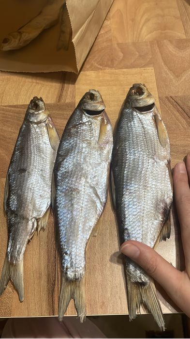 Рыбец Атырау свежий посол