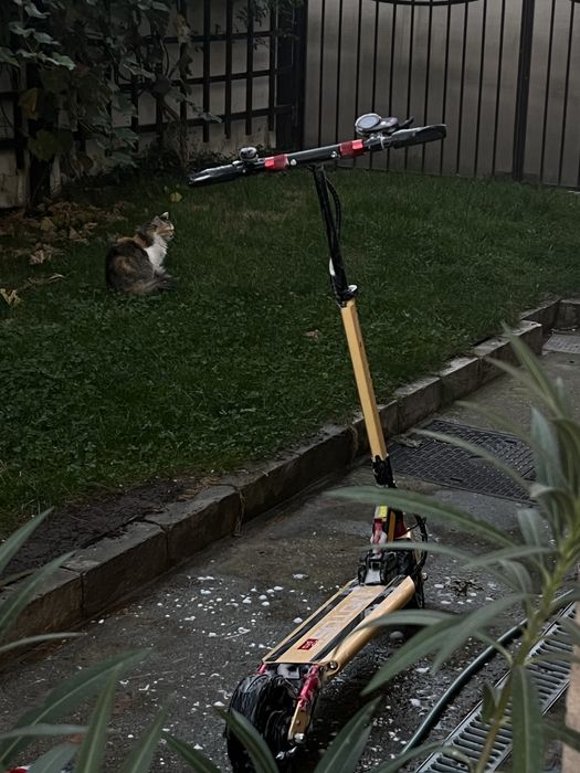 Trotineta electrica Motus 8.5 Pro