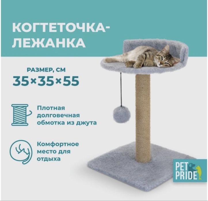 Кошачья когтеточка