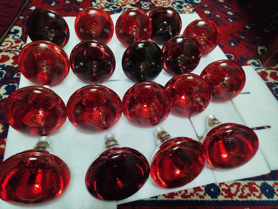 Инфракрасный лампалар 150ват 250ват 275ват бор