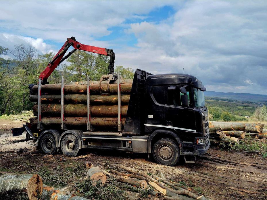 Lemn foc cantitati mari