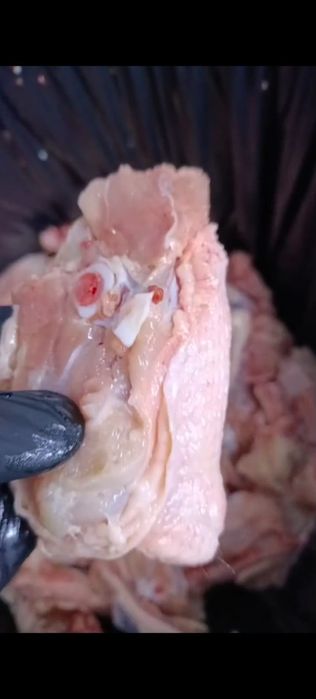 Куриные спинки и кости