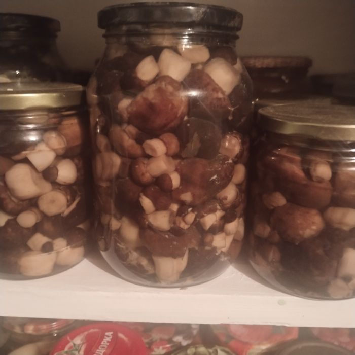 Продам грибочки этого года