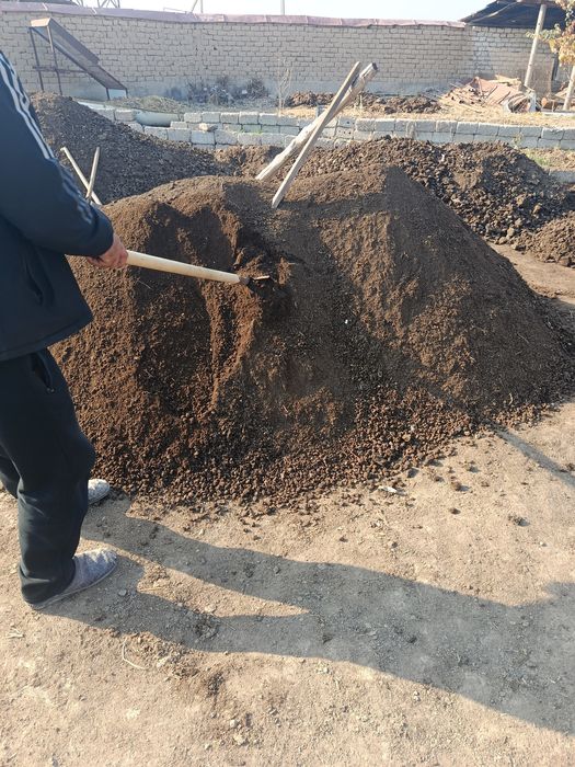 Qoplangan elakdan oʻtgan gong