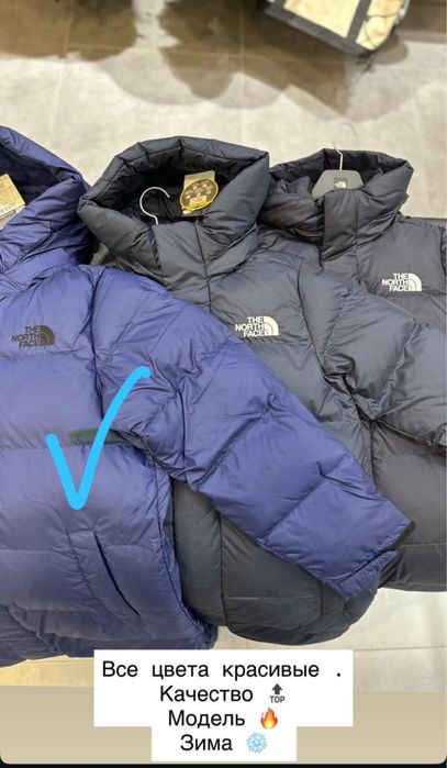 Куртка ниже колен Нордфейс оригинал